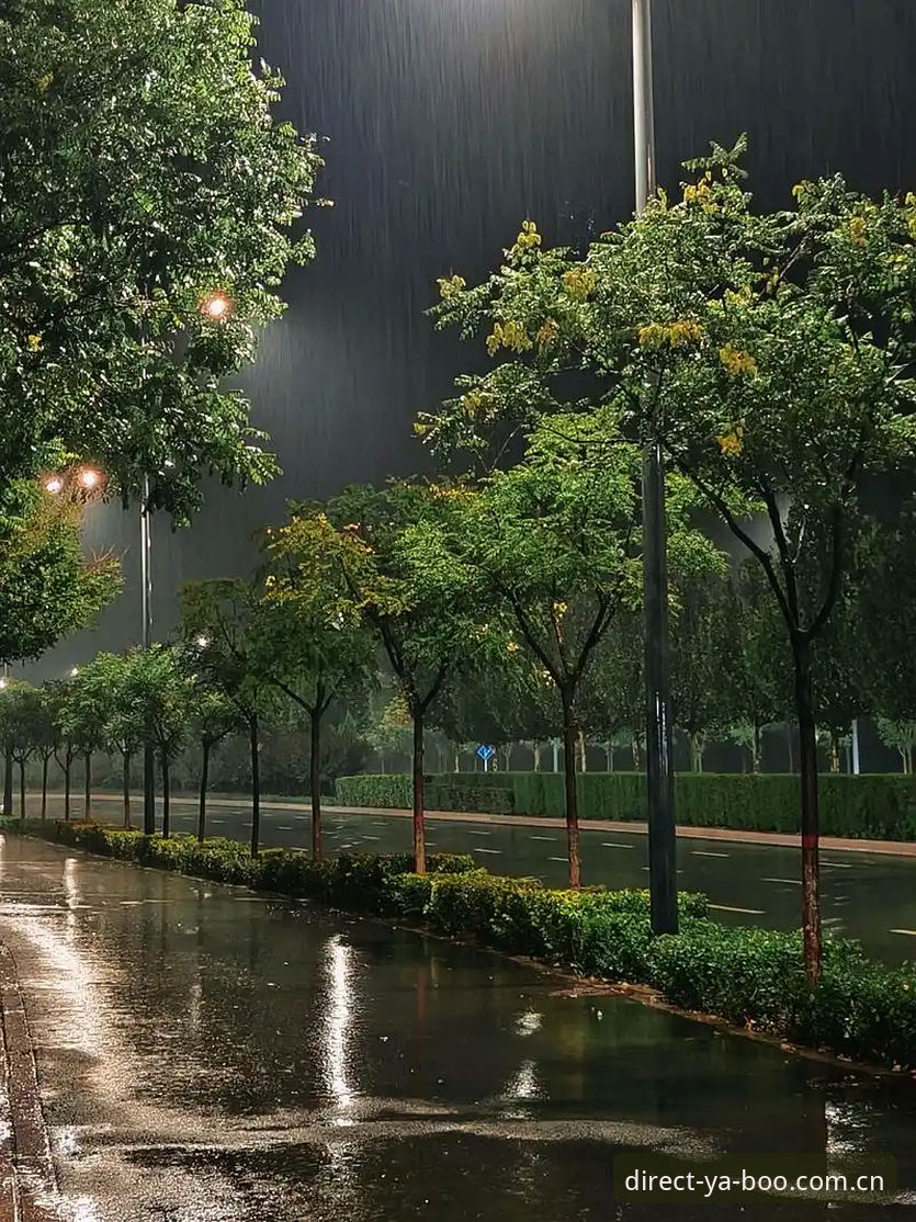 那个雨夜，我在手机上找了一整晚
